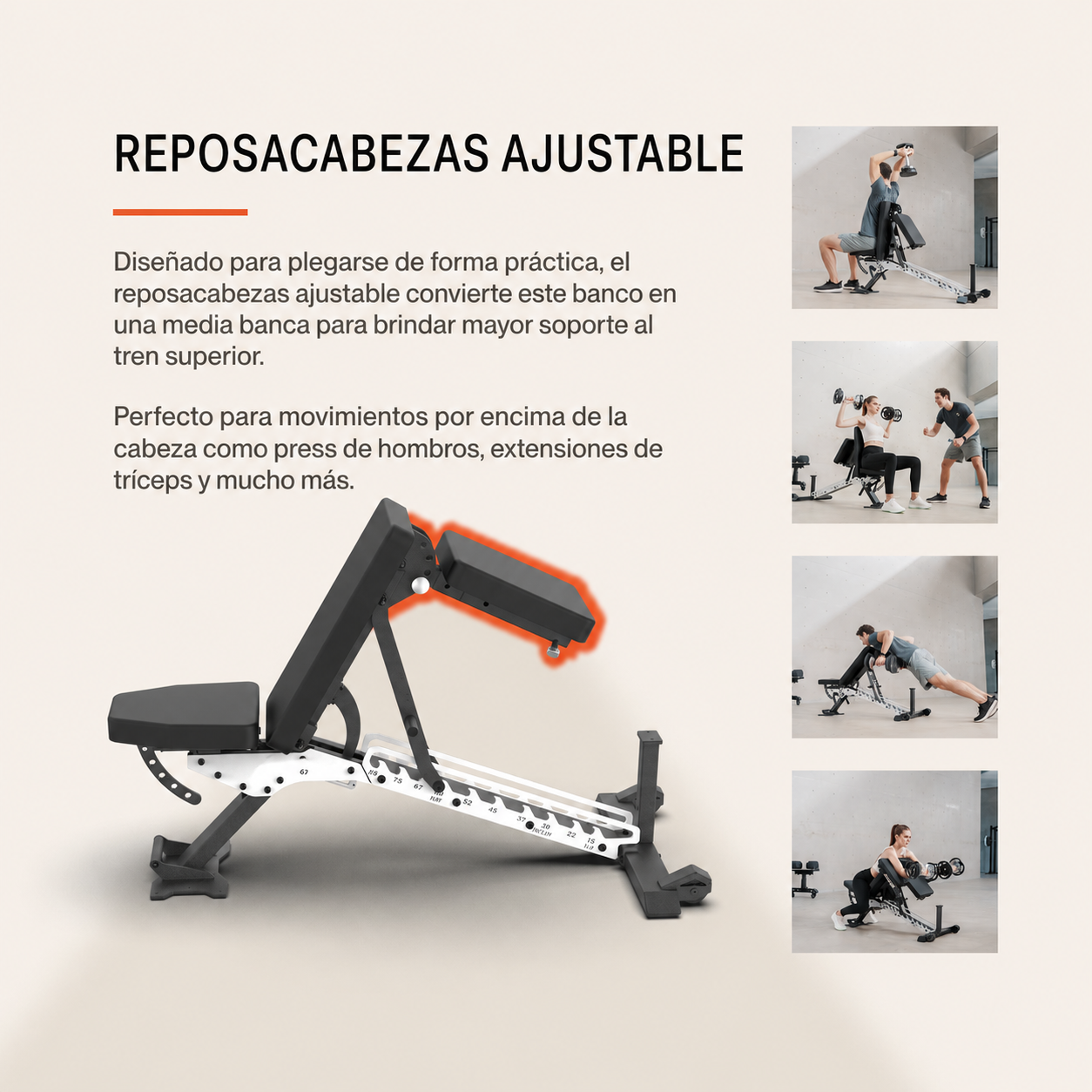 Banco de Pesas Ajustable Alpha Pro 10 en 1