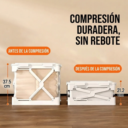 Caja de Almacenamiento Inteligente con Sistema de Compresión